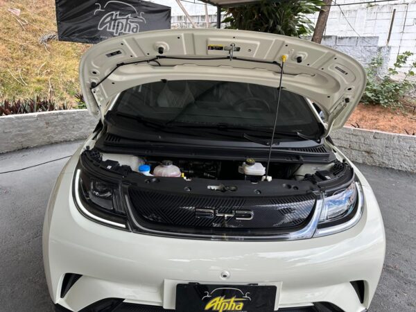 BYD DOLPHIN GS 180 EV 2023/2024 - Imagem 9